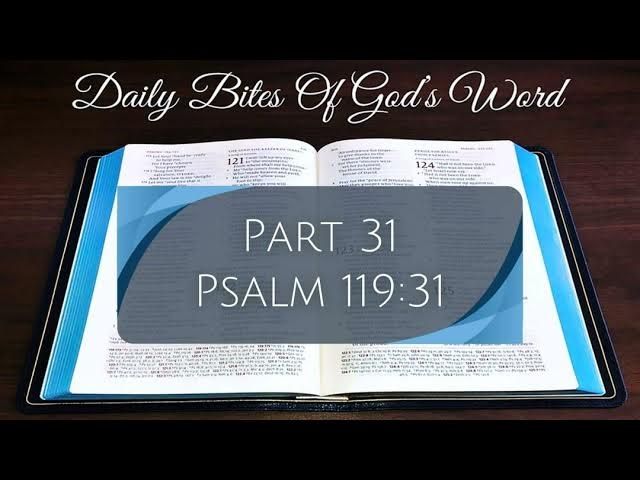 Daily Bites Of God's Word - Part 31 - Psalm 119:31