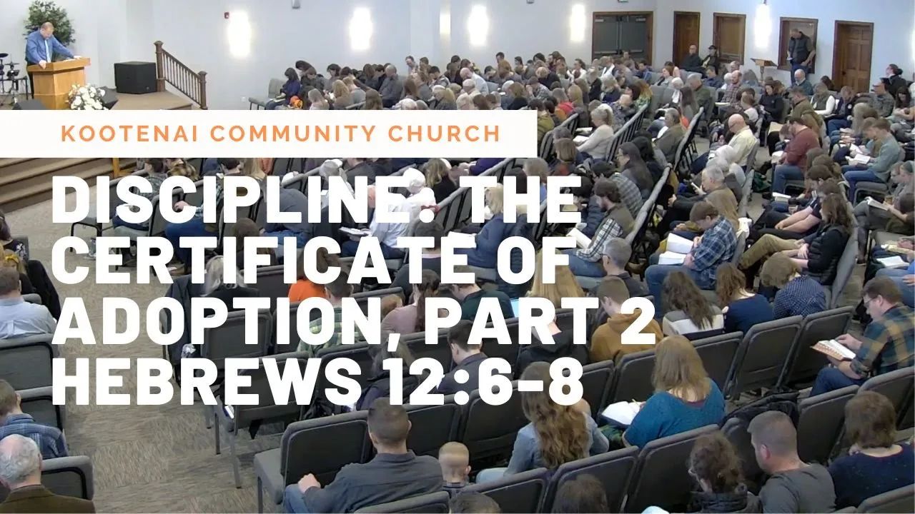 Discipline: The Certificate of Adoption, Part 2 (Hebrews 12:6-8)