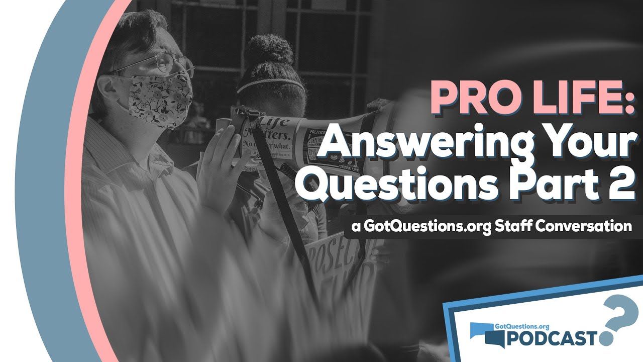 What does it mean to be pro-life? How can I do more to promote life? - Podcast Episode 103, Part 2