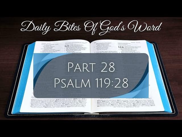 Daily Bites Of God's Word - Part 28 - Psalm 119:28